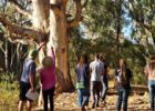 (Nature Festival Event) Sowing the Seeds - Creating The Food Forest