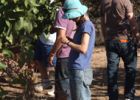 Open Day - Wild River and Organic Farm Walk