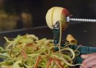 Preservation of Food - from Garden to Kitchen